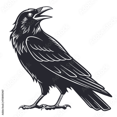 Black crow silhouette with open beak isolated on white background
