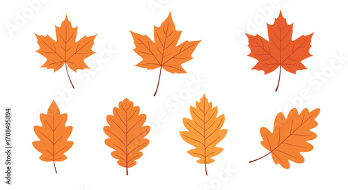 A collection of vibrant orange autumn leaves in various shapes and sizes.
