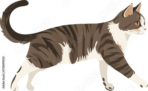 vector stripy cat walking