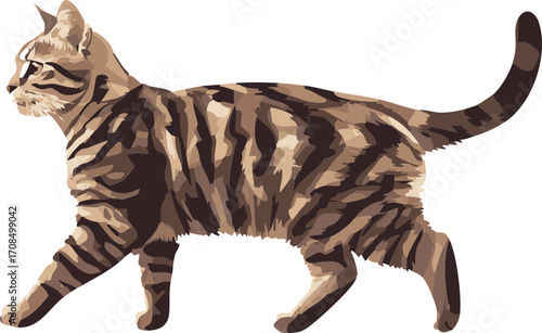 vector striped kitten walking
