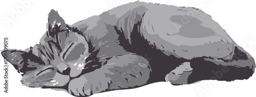 vector grey cat sleeping