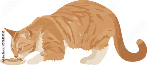 vector illustration of a cat