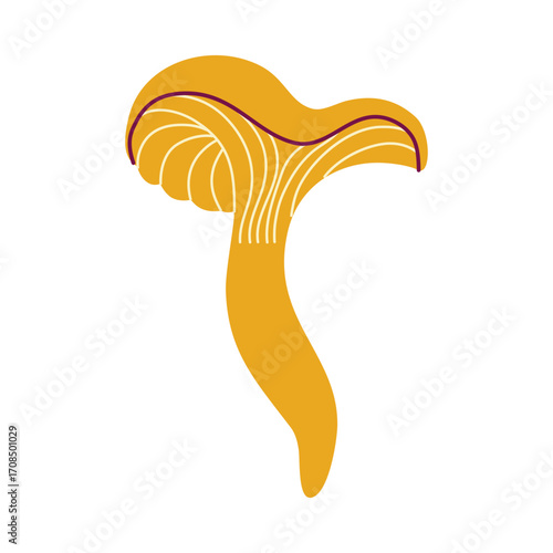 Chanterelle mushroom, wild orange forest plant with stem and cap. Fall harvest, raw vegan food. Cozy Autumn element. Hand drawn flat design vector illustration.