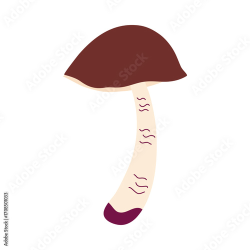Brown Cap forest mushroom isolated on transparent background. Fall harvest, raw vegan food. Cozy Autumn element. Hand drawn flat design vector illustration.