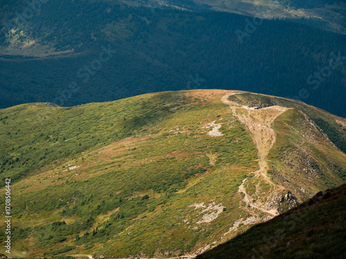 Carpathian mountains view