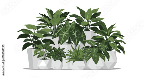 A collection of various green houseplants in geometric pots.