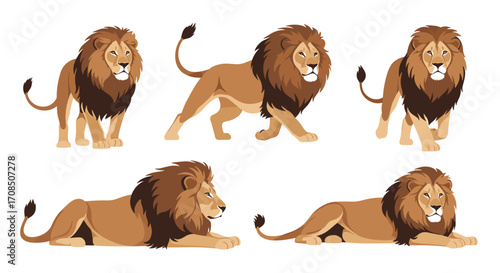 A collection of majestic lions in various poses showcasing their power and beauty.