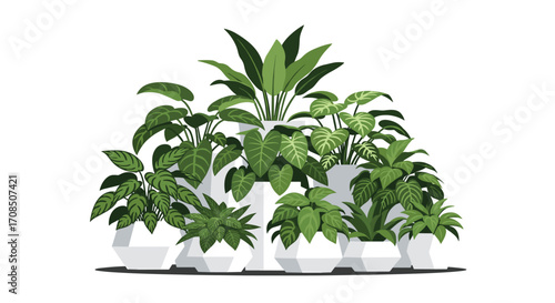 A diverse collection of vibrant green houseplants in modern white pots.