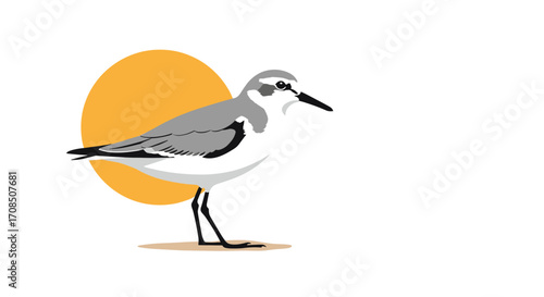 A small shorebird stands on a sandy beach in front of a large orange sun.