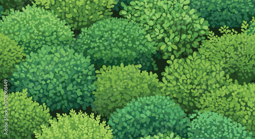 Dense green foliage viewed from above on a sunny day.
