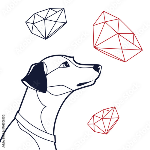 Geometric Dog Looking Up At Floating Shapes On White Background Keywords: dog, geometric, abstract, animal