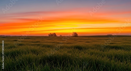 Vibrant Golden Sunrise Over Expansive Dew-Kissed Green Field