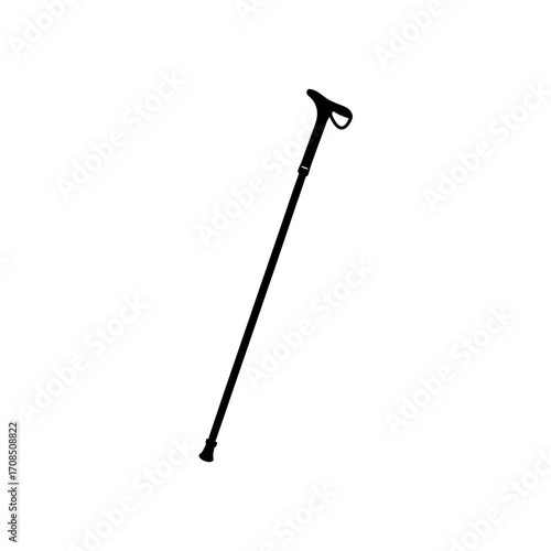 Silhouette of a walking stick on transparent background