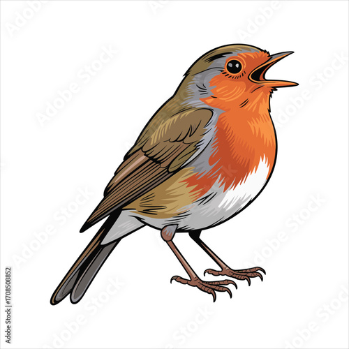 Vibrant watercolor illustration of a european robin singing with its mouth open