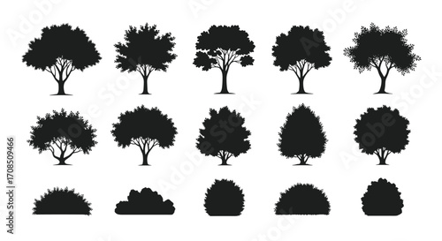 Collection of silhouette trees and bushes for landscaping designs.