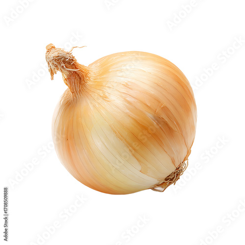 Wallpaper Mural Onion close up. Torontodigital.ca