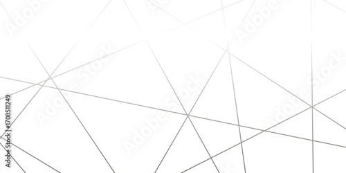 Abstract Geometric Lines Pattern Background. A captivating abstract background featuring a complex network of intersecting lines in varying shades of gray.