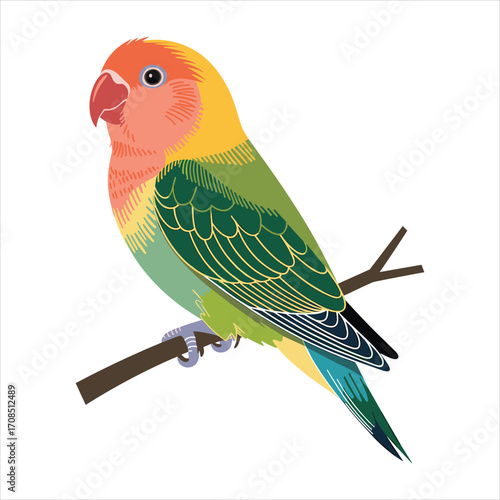 Vibrant lovebird perched on a branch with colorful plumage