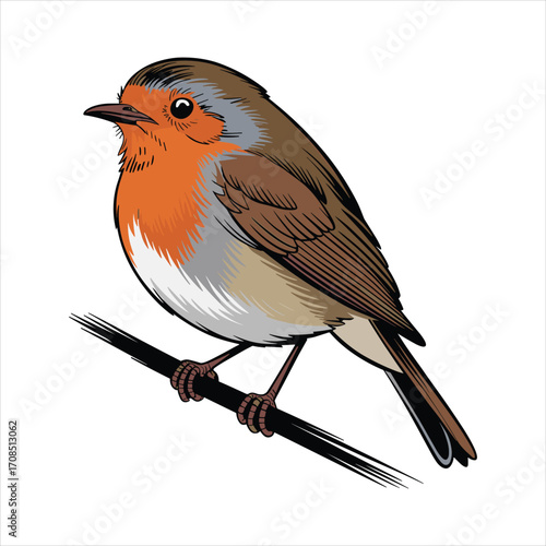 Charming illustration of a european robin perched on a dark branch