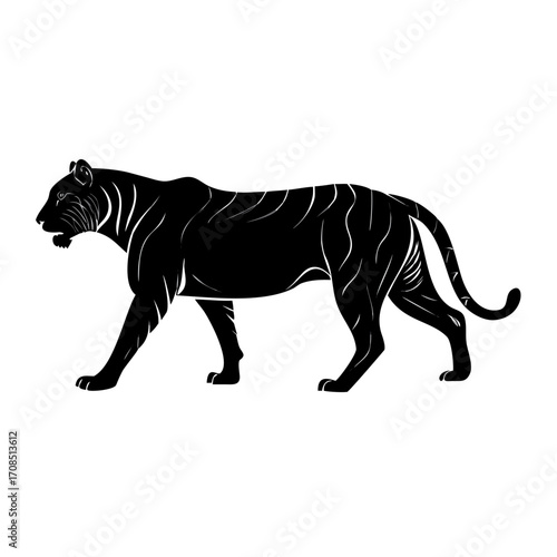 vector illustration of a zebra