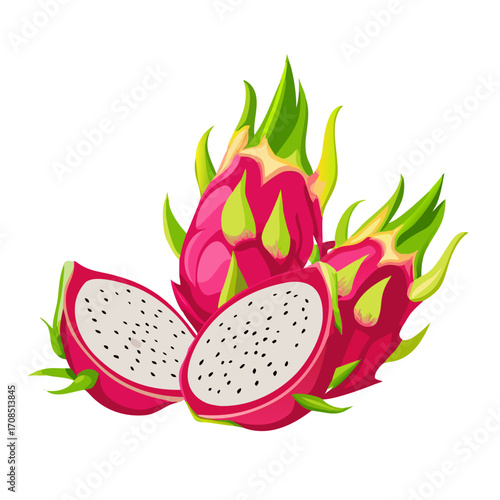 vector illustration of a dragon fruit