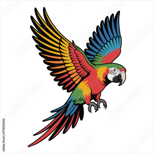 Vibrant macaw parrot in mid flight with wings spread wide