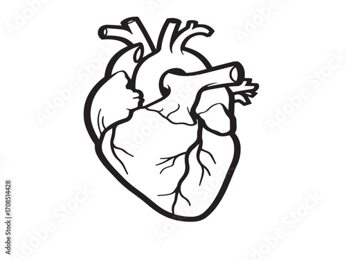Heart surgery medical illustration in clear outlined vector design