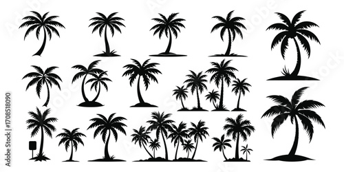 palm trees silhouettes