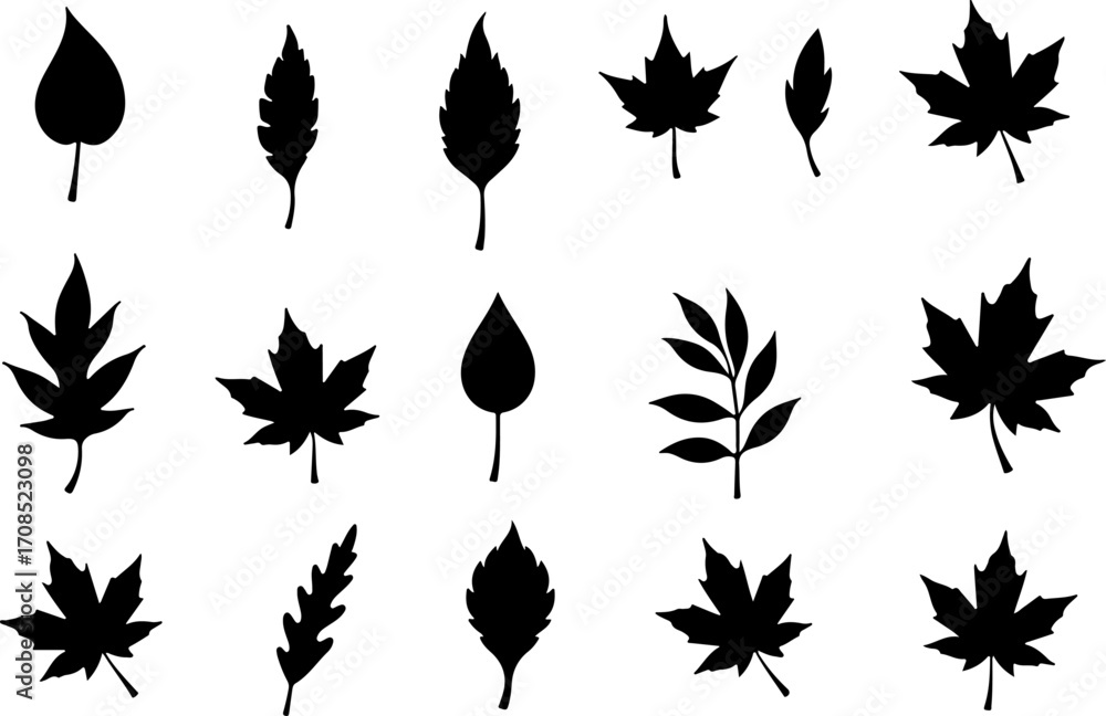 Obraz premium Autumn Silhouettes of Assorted Leaf Shapes Vector Bundle