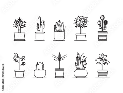 Collection of decorative house plants outlined in simple clean design