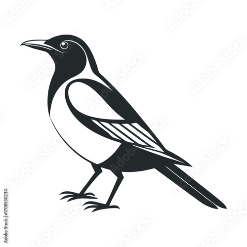 Vector illustration of a black crow on a branch with detailed feathers and a sharp beak
