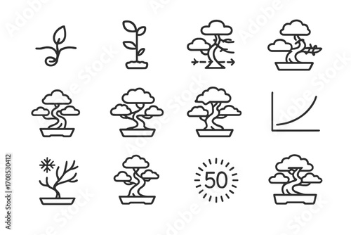 Bonsai Lifecycle Icons. Line style icons of bonsai tree life cycle: seed germination icon, sapling bonsai form, early pruning