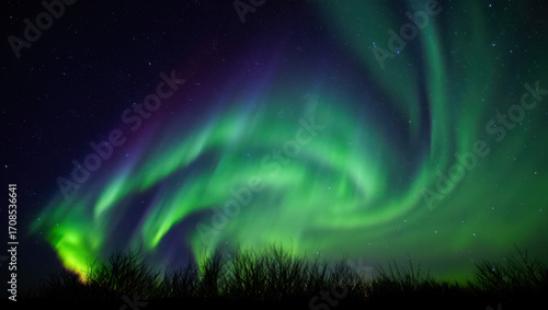 Wallpaper Mural Stunning aurora borealis dances across star-filled night sky over silhouetted landscape Torontodigital.ca