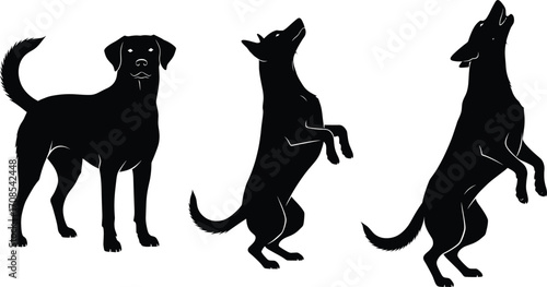 Black silhouette illustration of three dogs in various standing and playful poses, showcasing movement, agility, and expressive canine body language