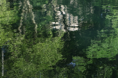 Reflectins on a pond