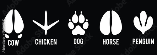 Set of animals footprint. Hand drawn various animal feet paws or footprints isolated on white background. Black silhouettes collection of animal tracks in minimal style. various animal footprints. eps