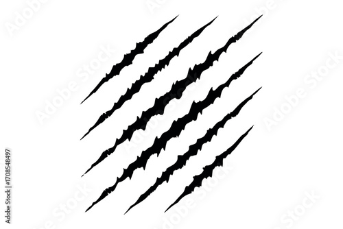 Claw mark scratches vector, Animal paw prints, tiger, wolf, lion, monster silhouette