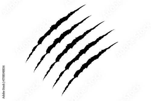 Tiger claw mark vector, Animal scratches silhouette, Lion, dog, monster paw marks
