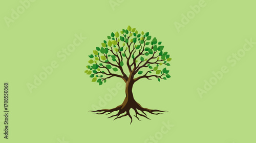 A stylized illustration of a tree with lush green foliage and exposed roots against a green background.