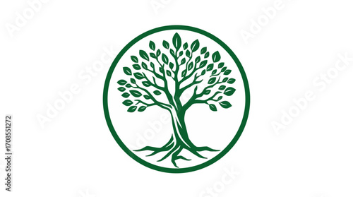 Green stylized tree logo, circular design, roots and leaves.
