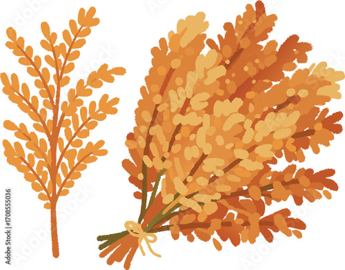 Autumn harvest of wheat and rye stalks in warm orange tones