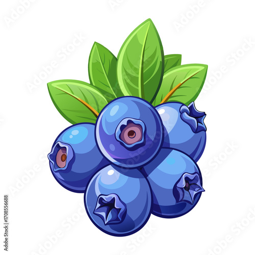 Blueberries