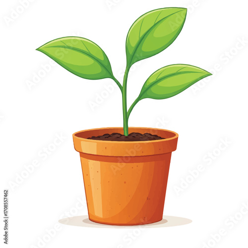Green sprout growing in an orange pot isolated on white background