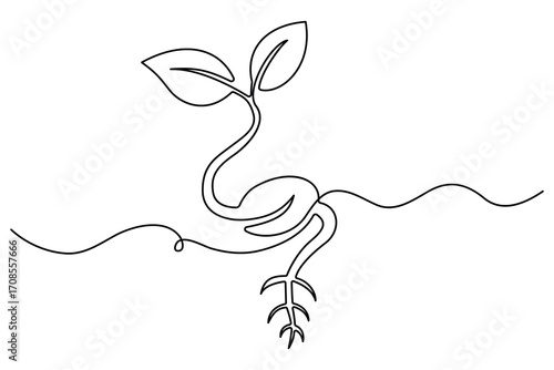 Continuous one line drawing of the step by step process of a plant growing from seed to sprout in doodle style
