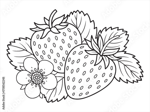 Hand-drawn strawberry line art with berries, blossoms, and foliage design