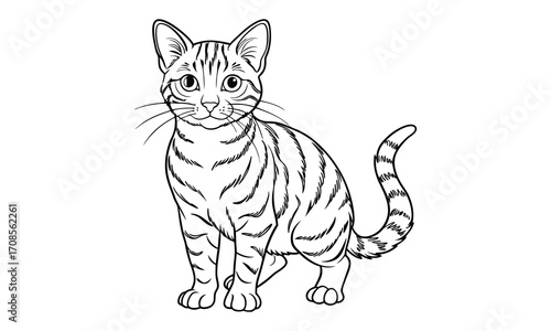 Ginger Cat, kids line art doodle pattern design t shirt design silhouette and vector, detailed illustration, perfect for relaxation, stress relief, adult coloring books, printable art therapy.