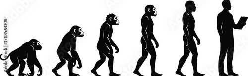 Human evolution stages from primate to modern intellectual, posture change, scientific progress, anthropology concept, vector illustration, isolated on white background