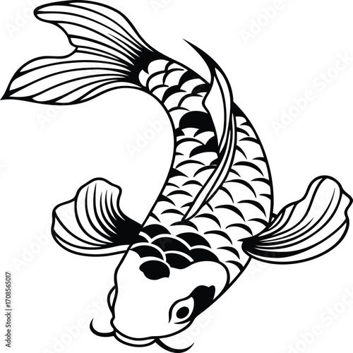 Stylized koi fish vector illustration isolated on white background