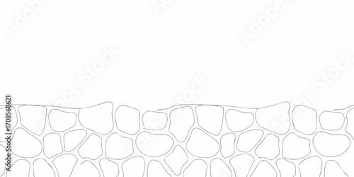 Simple outline of irregularly shaped stones forming a textured border against a white background