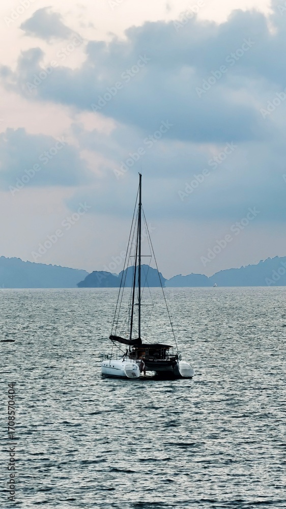 Fototapeta premium sailing catamaran in the evening at sea